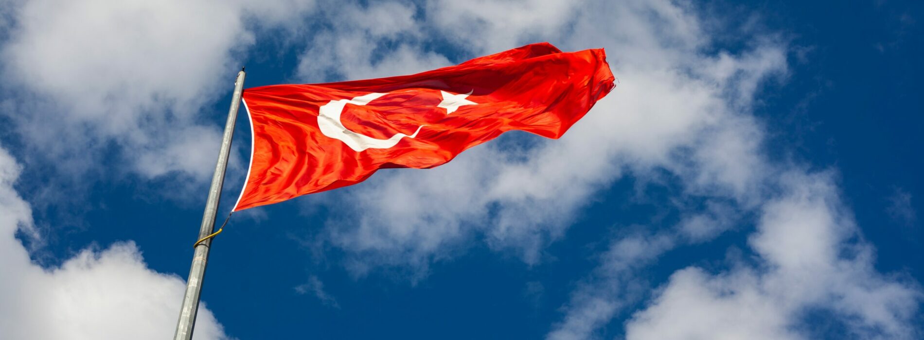 Jak wygląda turecki showbiznes? Oto 13 nazwisk z Turcji, które są znane