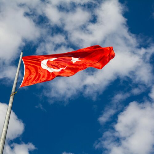 Jak wygląda turecki showbiznes? Oto 13 nazwisk z Turcji, które są znane